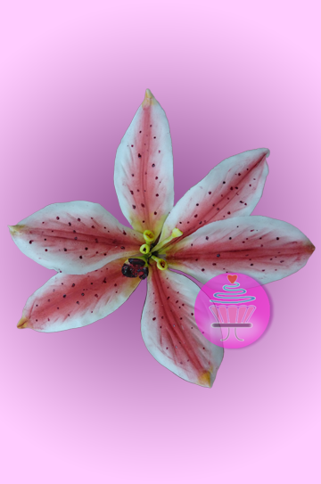 Lirio en Pasta de Goma