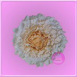 Peonia en Pasta de Goma